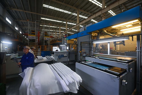 浙江嘉興 數字化車間技術開發，為制造業高質量發展注入強勁動能